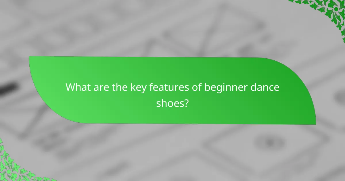 What are the key features of beginner dance shoes?