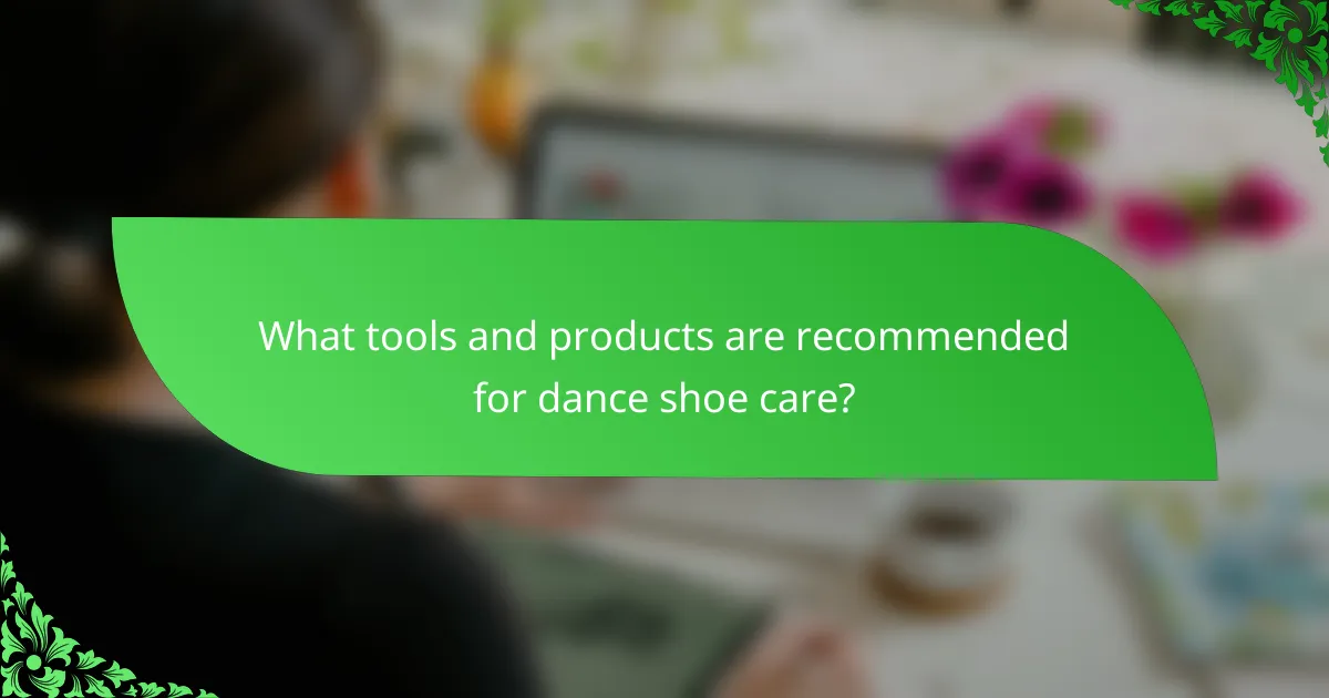 What tools and products are recommended for dance shoe care?